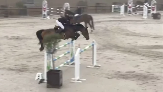 [𝗞𝗮𝗹𝗶𝗼𝗽𝗲́𝗲 𝗱𝘂 𝗦𝗮𝗶𝗻𝘁-𝗖𝗵𝗲̂𝗻𝗲]
Samedi 3 mai - Classic tour de Courrière - GP 140 cm
Qu’il neige, qu’il pleuve, qu’il vente ou qu’il grêle, ces deux là sont IMPERTURBABLES et TOUJOURS au rendez-vous !!! Pascal et Kaliopée sont à nouveau double SF dans ce GP et prennent la deuxième place 🥈 Restez connectés, la vidéo du barrage arrive très vite 🤪
Félicitations à tous les deux et merci à toute l’équipe 🥰
@vanlaethemp
